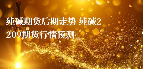 纯碱期货后期走势 纯碱2209期货行情预测_https://www.iteshow.com_商品期权_第1张