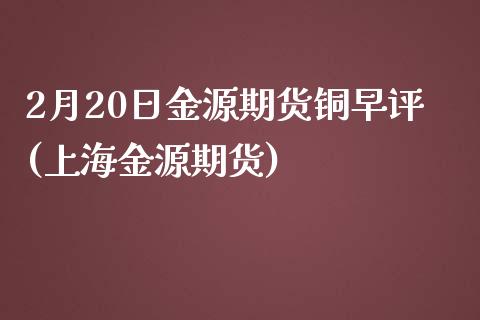 2月20日金源期货铜早评(上海金源期货)_https://www.iteshow.com_商品期权_第1张