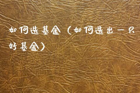 如何选基金（如何选出一只好基金）_https://www.iteshow.com_基金_第1张