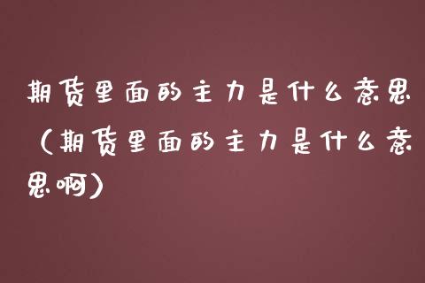 期货里面的主力是什么意思（期货里面的主力是什么意思啊）_https://www.iteshow.com_期货手续费_第1张