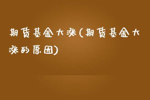 期货基金大涨(期货基金大涨的原因)_https://www.iteshow.com_期货品种_第1张