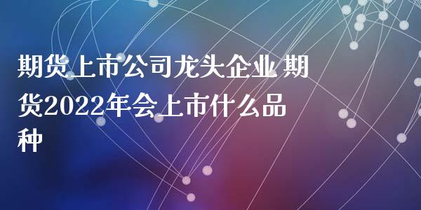 期货上市公司龙头企业 期货2022年会上市什么品种_https://www.iteshow.com_黄金期货_第1张