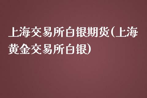 上海交易所白银期货(上海黄金交易所白银)_https://www.iteshow.com_期货手续费_第1张