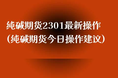 纯碱期货2301最新操作(纯碱期货今日操作建议)_https://www.iteshow.com_期货开户_第1张