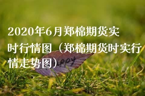 2020年6月郑棉期货实时行情图（郑棉期货时实行情走势图）_https://www.iteshow.com_股指期权_第1张