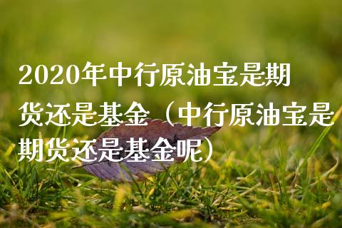 2020年中行原油宝是期货还是基金（中行原油宝是期货还是基金呢）_https://www.iteshow.com_期货百科_第1张