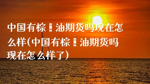 中国有棕榈油期货吗现在怎么样(中国有棕榈油期货吗现在怎么样了)_https://www.iteshow.com_期货品种_第1张