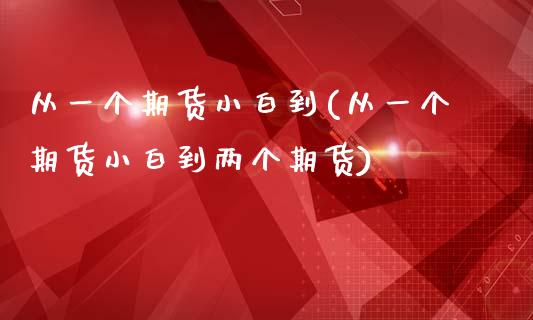 从一个期货小白到(从一个期货小白到两个期货)_https://www.iteshow.com_股指期货_第1张