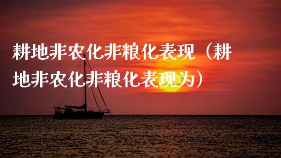 耕地非农化非粮化表现（耕地非农化非粮化表现为）_https://www.iteshow.com_期货知识_第1张