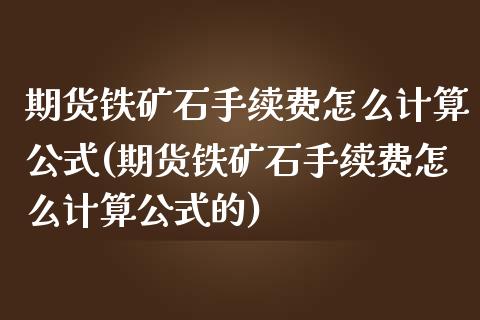 期货铁矿石手续费怎么计算公式(期货铁矿石手续费怎么计算公式的)_https://www.iteshow.com_期货手续费_第1张