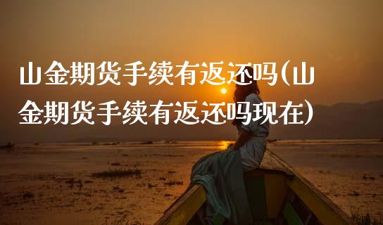 山金期货手续有返还吗(山金期货手续有返还吗现在)_https://www.iteshow.com_期货公司_第1张