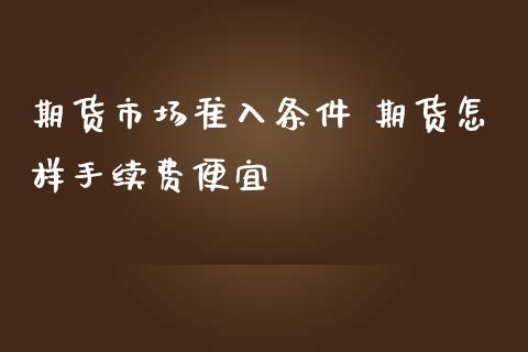 期货市场准入条件 期货怎样手续费便宜_https://www.iteshow.com_商品期货_第1张