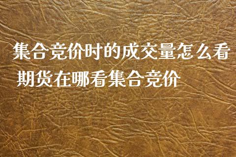 集合竞价时的成交量怎么看 期货在哪看集合竞价_https://www.iteshow.com_期货品种_第1张