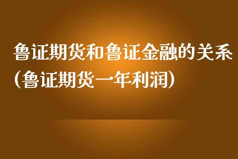 鲁证期货和鲁证金融的关系(鲁证期货一年利润)_https://www.iteshow.com_期货开户_第1张