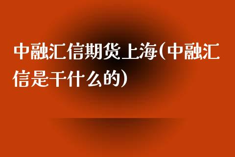 中融汇信期货上海(中融汇信是干什么的)_https://www.iteshow.com_原油期货_第1张