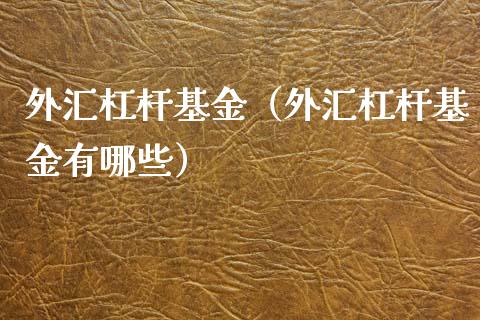 外汇杠杆基金（外汇杠杆基金有哪些）_https://www.iteshow.com_基金_第1张