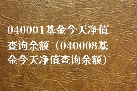 040001基金今天净值查询余额（040008基金今天净值查询余额）_https://www.iteshow.com_基金_第1张