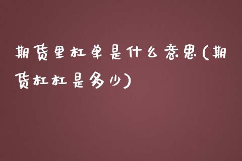 期货里杠单是什么意思(期货杠杠是多少)_https://www.iteshow.com_期货手续费_第1张