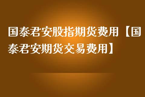 国泰君安股指期货费用【国泰君安期货交易费用】_https://www.iteshow.com_期货交易_第1张