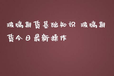 玻璃期货基础知识 玻璃期货今日最新操作_https://www.iteshow.com_期货开户_第1张