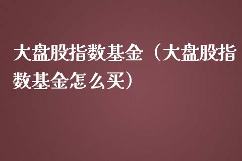 大盘股指数基金（大盘股指数基金怎么买）_https://www.iteshow.com_基金_第1张