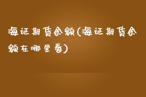 海证期货余额(海证期货余额在哪里看)_https://www.iteshow.com_期货开户_第1张