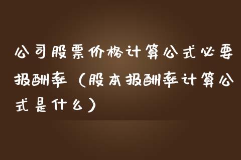 公司股票价格计算公式必要报酬率（股本报酬率计算公式是什么）_https://www.iteshow.com_股票_第1张