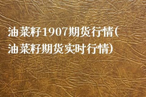 油菜籽1907期货行情(油菜籽期货实时行情)_https://www.iteshow.com_期货开户_第1张