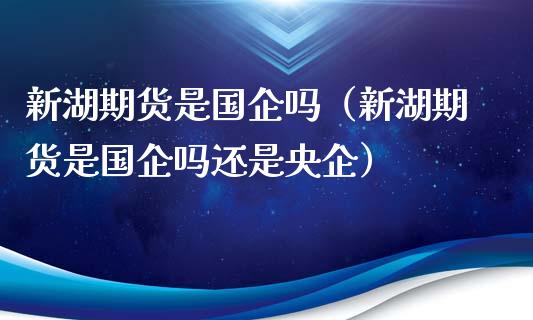 新湖期货是国企吗（新湖期货是国企吗还是央企）_https://www.iteshow.com_商品期货_第1张