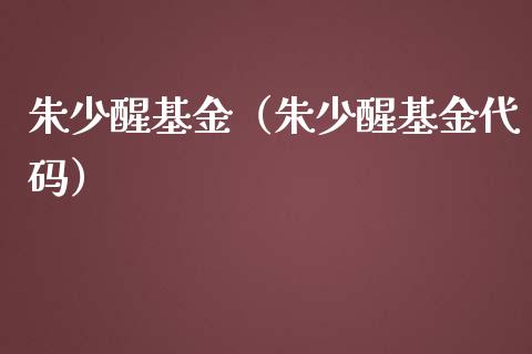 朱少醒基金（朱少醒基金代码）_https://www.iteshow.com_基金_第1张