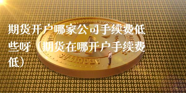 期货开户哪家公司手续费低些呀（期货在哪开户手续费低）_https://www.iteshow.com_期货开户_第1张