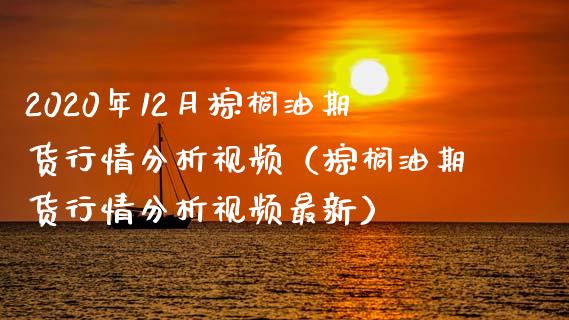 2020年12月棕榈油期货行情分析视频（棕榈油期货行情分析视频最新）_https://www.iteshow.com_期货公司_第1张