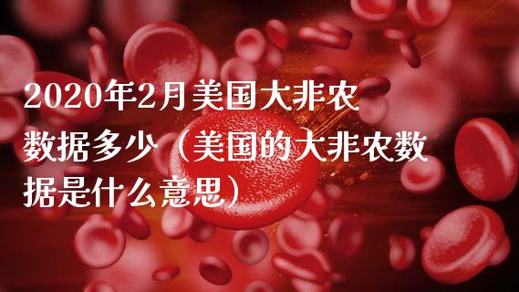 2020年2月美国大非农数据多少（美国的大非农数据是什么意思）_https://www.iteshow.com_商品期货_第1张