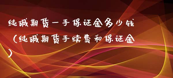 纯碱期货一手保证金多少钱（纯碱期货手续费和保证金）_https://www.iteshow.com_期货手续费_第1张