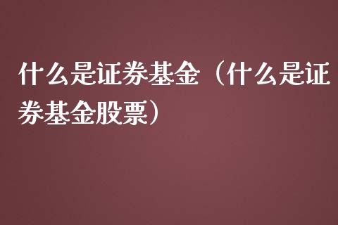 什么是证券基金（什么是证券基金股票）_https://www.iteshow.com_基金_第1张