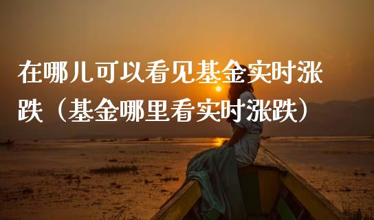 在哪儿可以看见基金实时涨跌（基金哪里看实时涨跌）_https://www.iteshow.com_基金_第1张