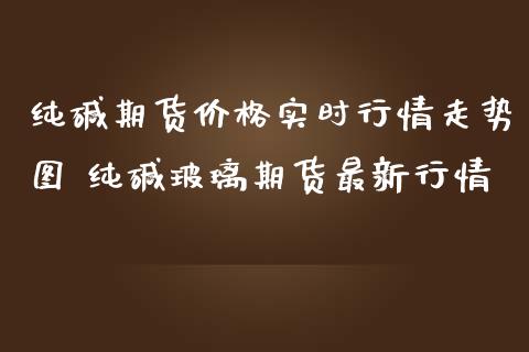 纯碱期货价格实时行情走势图 纯碱玻璃期货最新行情_https://www.iteshow.com_股指期权_第1张