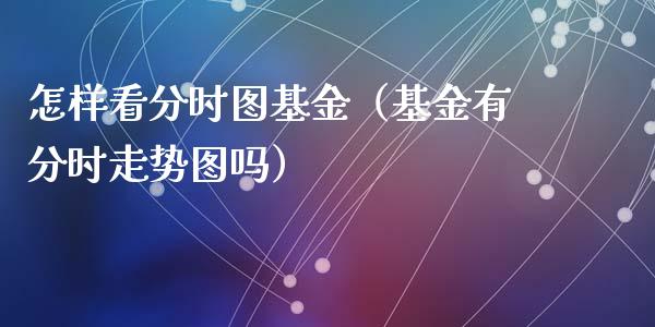 怎样看分时图基金（基金有分时走势图吗）_https://www.iteshow.com_基金_第1张