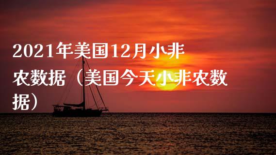 2021年美国12月小非农数据（美国今天小非农数据）_https://www.iteshow.com_期货开户_第1张