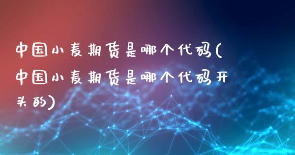 中国小麦期货是哪个代码(中国小麦期货是哪个代码开头的)_https://www.iteshow.com_期货交易_第1张