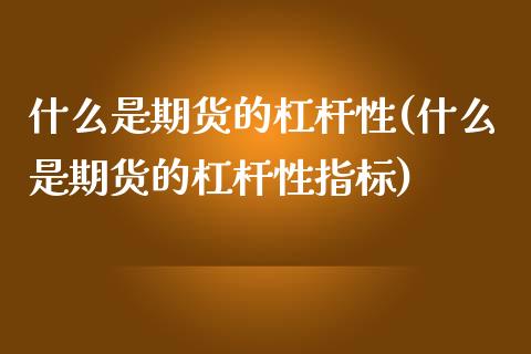 什么是期货的杠杆性(什么是期货的杠杆性指标)_https://www.iteshow.com_期货品种_第1张