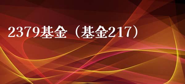 2379基金（基金217）_https://www.iteshow.com_基金_第1张