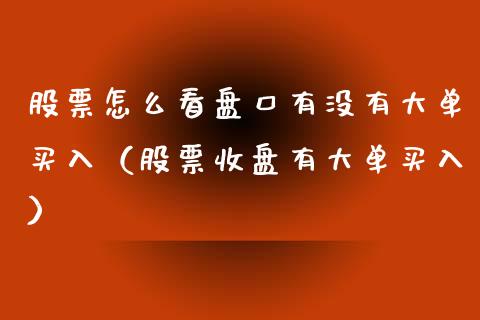 股票怎么看盘口有没有大单买入（股票收盘有大单买入）_https://www.iteshow.com_股票_第1张