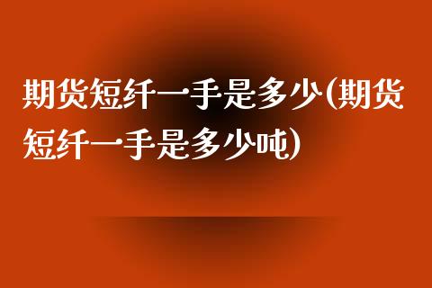 期货短纤一手是多少(期货短纤一手是多少吨)_https://www.iteshow.com_原油期货_第1张