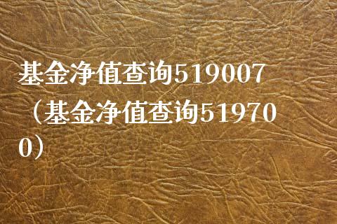 基金净值查询519007（基金净值查询519700）_https://www.iteshow.com_基金_第1张