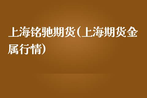 上海铭驰期货(上海期货金属行情)_https://www.iteshow.com_期货百科_第1张