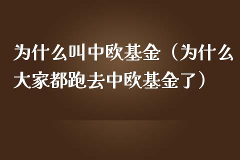 为什么叫中欧基金（为什么大家都跑去中欧基金了）_https://www.iteshow.com_基金_第1张