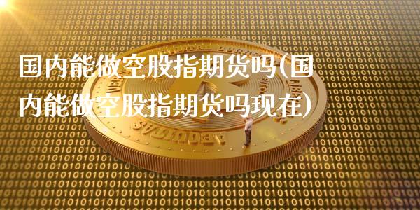 国内能做空股指期货吗(国内能做空股指期货吗现在)_https://www.iteshow.com_商品期权_第1张