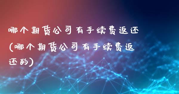 哪个期货公司有手续费返还(哪个期货公司有手续费返还的)_https://www.iteshow.com_期货百科_第1张