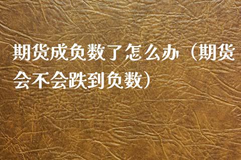 期货成负数了怎么办（期货会不会跌到负数）_https://www.iteshow.com_期货品种_第1张